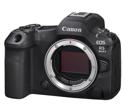 Canon 專業相機機身出租